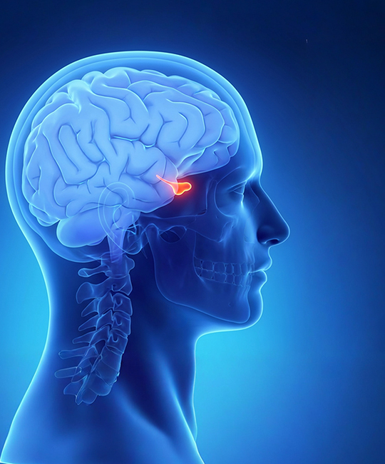 Мозъчни Тумори